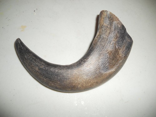 New premium quality buffalo - ,