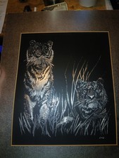 LMA Tiger Realism Drawing