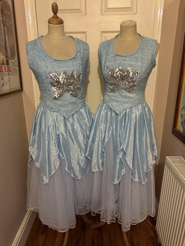 Womens fairy costume dresses - womens,