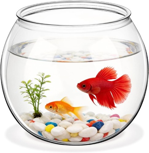 Besportble transparent fish - besportble,