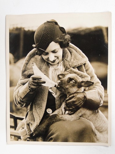 Woman feeding lamb bottle - feeding,