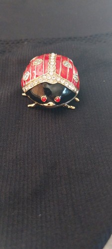 Ladybird guilded and - and, enamel
