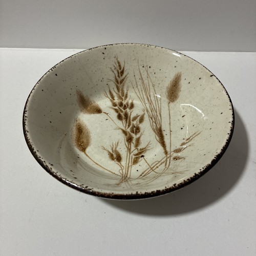 Vintage wedgwood midwinter - vintage,