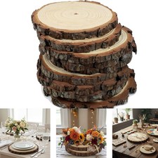 Large Natural Wood Log Slice