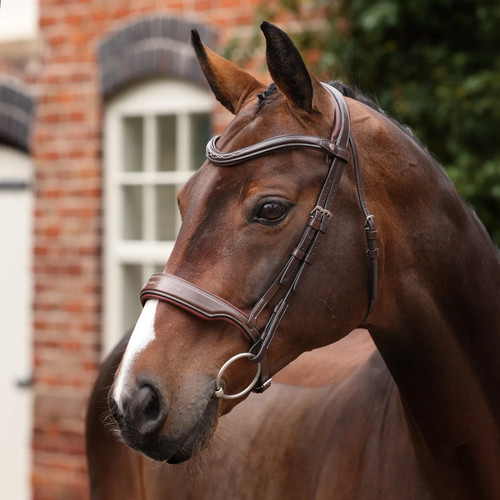 Shires velociti lusso opus - shires,