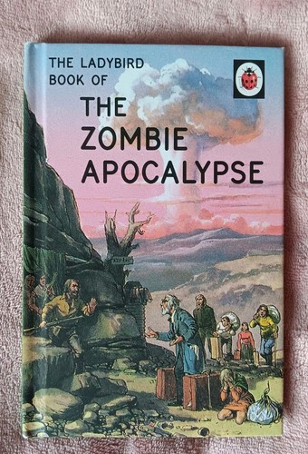 The ladybird book - ladybird,
