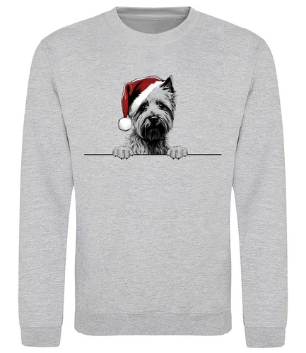 Norwich terrier christmas dog - terrier,