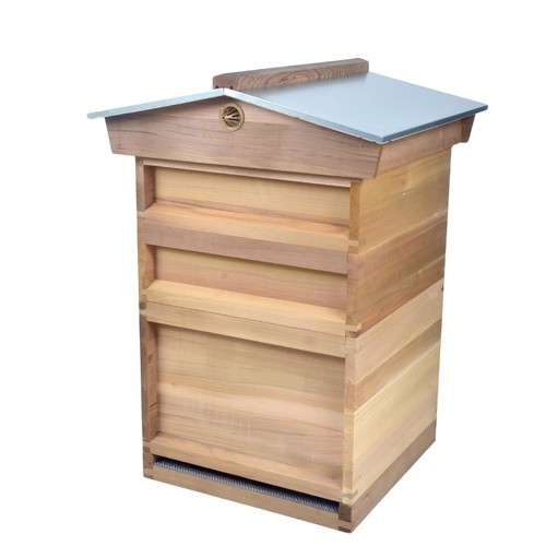 National hive with jumbo - jumbo, brood