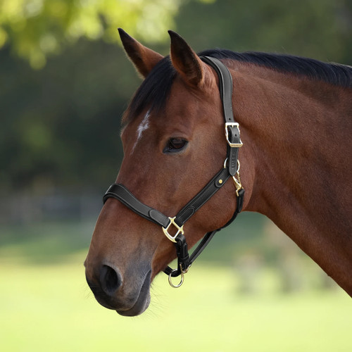 Shires velociti lusso lorca - lusso,
