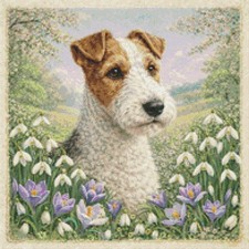 Fox Terrier Puppy Dog In