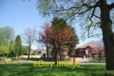 Photo 6x4 Postbox and blossom