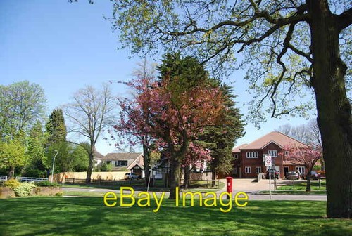 Photo 6x4 postbox - photo, blossom