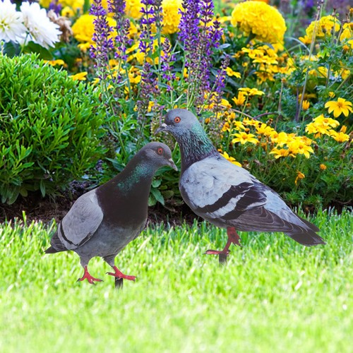 2pcs pigeons garden stake - 2pcs,