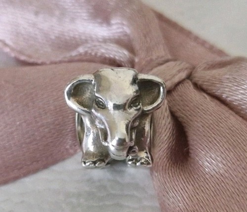 Genuine panfora silver lucky - genuine,