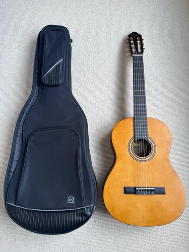 Valencia acoustic guitar - valencia,