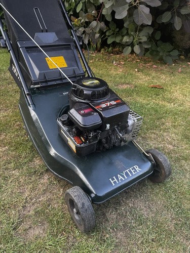 Hayter hawk cut self - hawk, 41