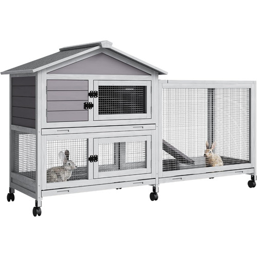 Rabbit hutch indoor - rabbit,