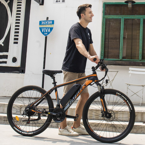 Electric mountain bike - electric,