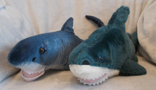 Large great white shark - white,