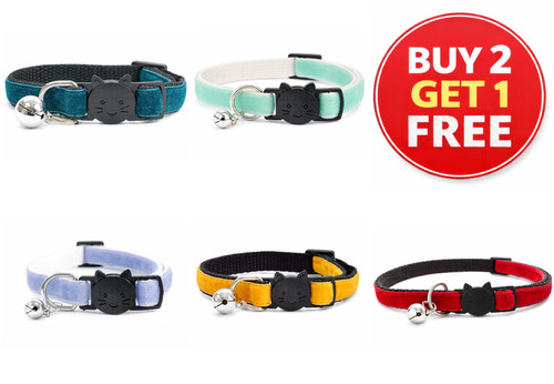 Kitten collar with - kitten,