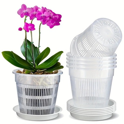5pcs clear orchid pots with - 5pcs,