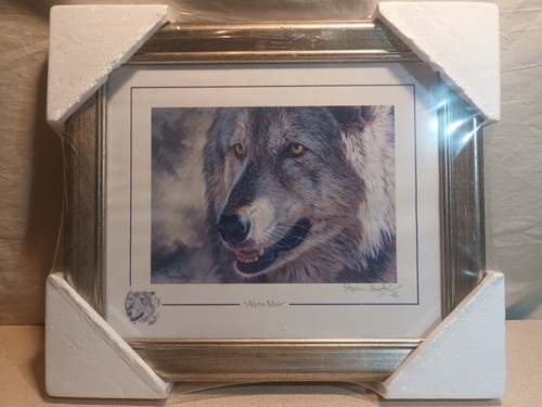 Stephen gayford signed limited - stephen,