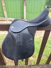 Thorowgood Pony Club 16.5"