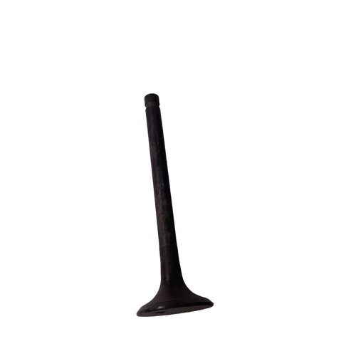 Exhaust valve eshust - valve,,