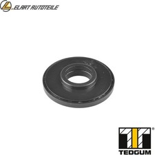 ROLLER BEARING STRUT SUPPORT