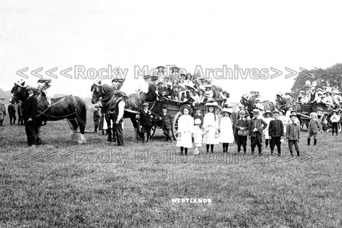 Kvv horse carts floats - carts,