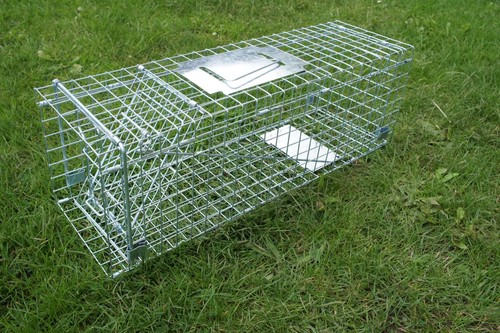 Humane folding large - 26", cat