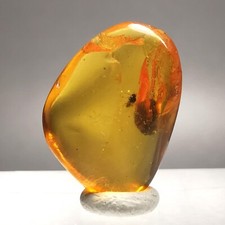 56ct burmese amber insect - 2.56ct, w.