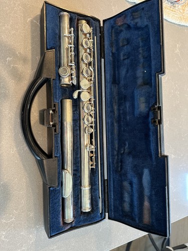Flute eastman efl210 buffet - eastman, w/buffet