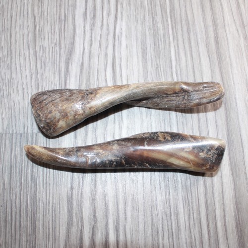 Small polished goat horns - polished,