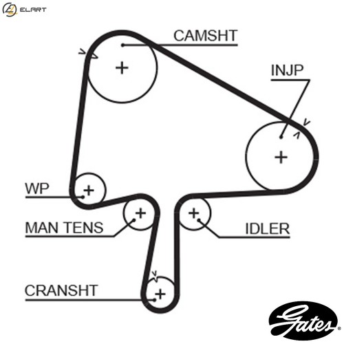 Timing belt 5510xs for - for, mazda