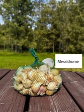 Garlic Messidrome 10 CLOVES