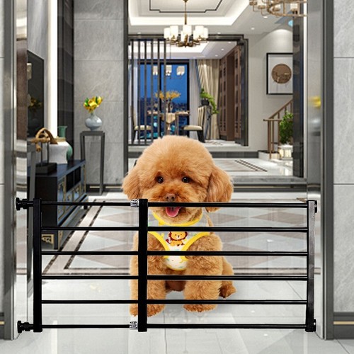Pet small dog safety - safety, gate