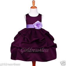 Plum Dark Purple Pick Up