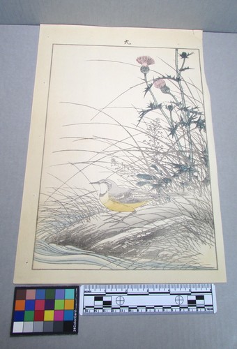 Woodblock print - woodblock,