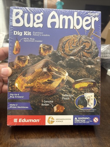 Bug amber dig kit insect - amber,