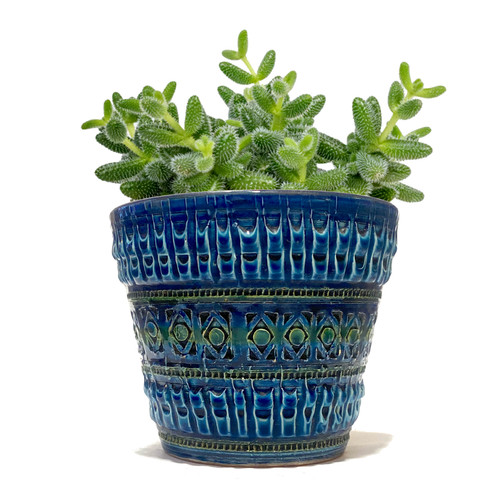 Italian pottery planter nuovo - italian, planter,