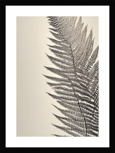 Exquisite fern fronds print - fern,
