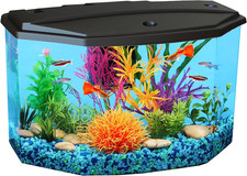 Gallon aquarium starter kit - aquarium,