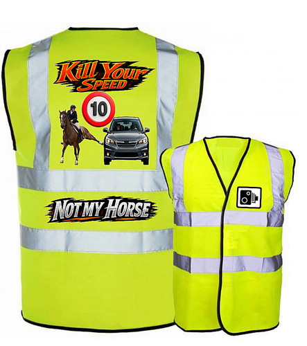 Equestrian horse riding - equestrian,