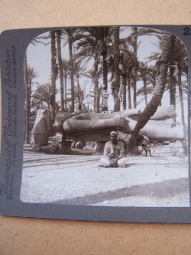Stereoscopic stereo view - stereoscopic, stereo-view