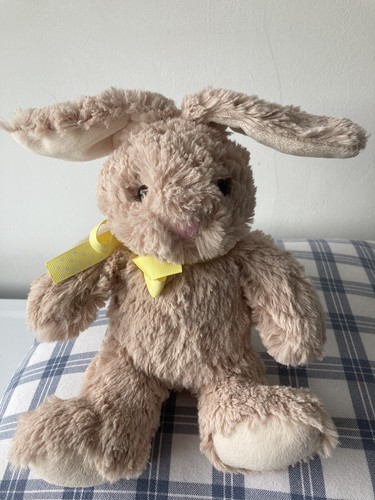 Bunny rabbit soft - cuddly, teddy