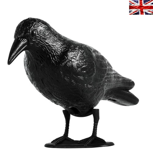 Realistic black crow - crow, decoy