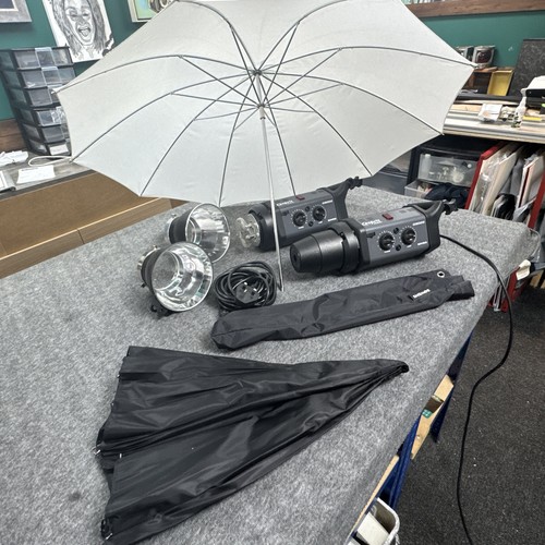Bowens esprit gemini gm500 2 - gemini, gm500.