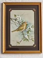 Vintage Basil Ede Robin framed