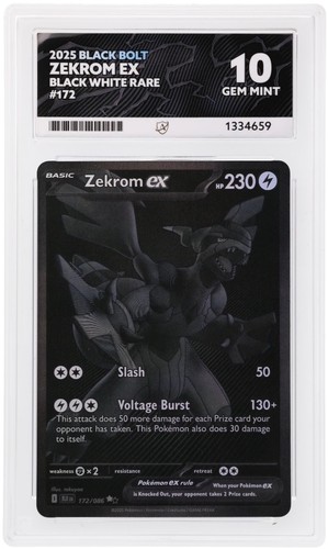 2025 black bolt zekrom - 2025,